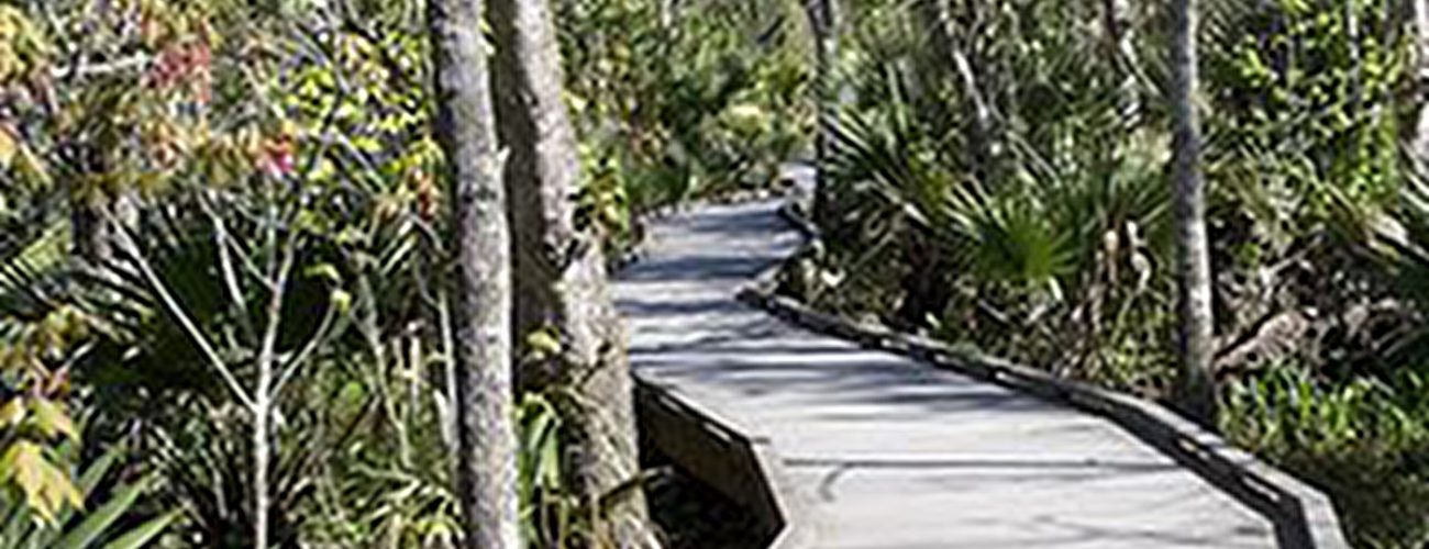 Appalachian Trail Walkway