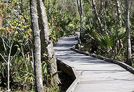 Appalachian Trail Walkway