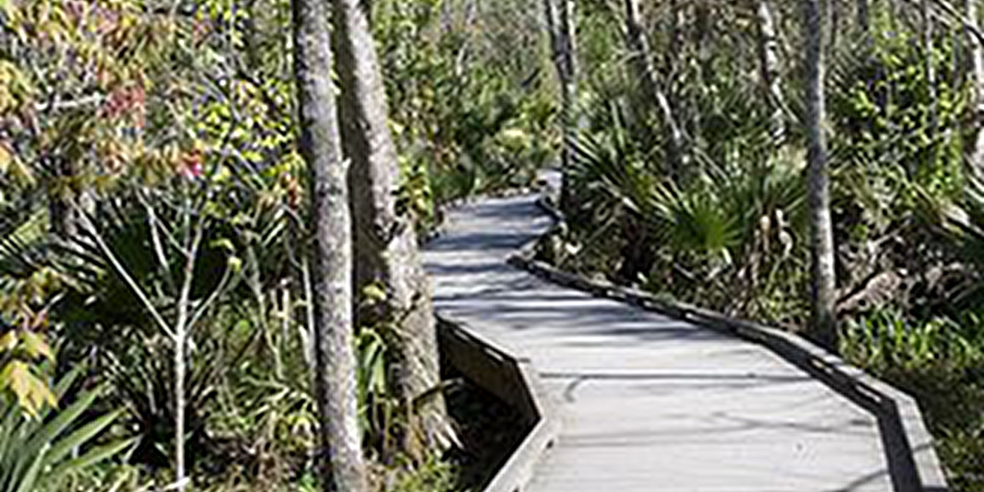 Appalachian Trail Walkway