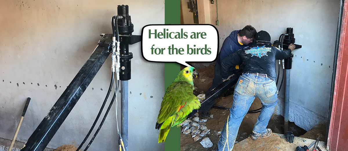 Helicals Are For The Birds | Danbro Distributors